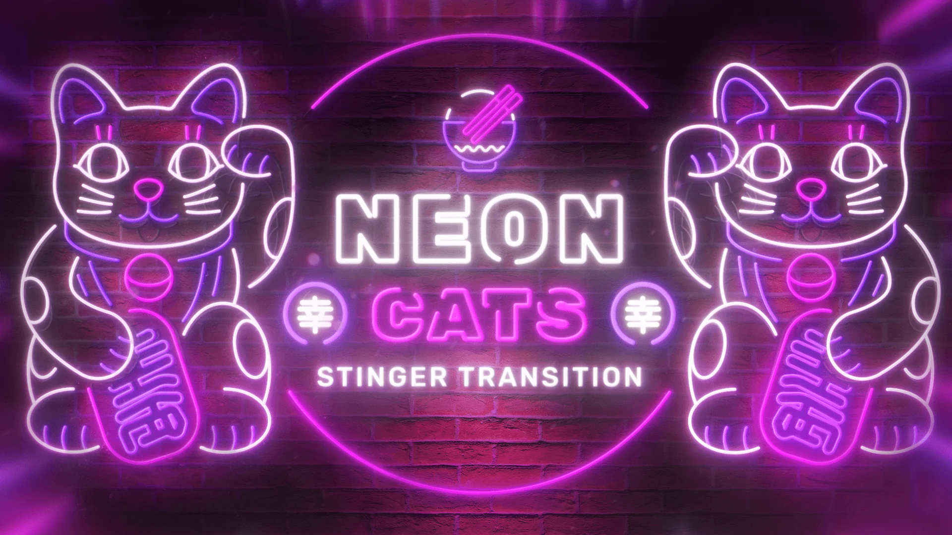 Neon Cats Transition