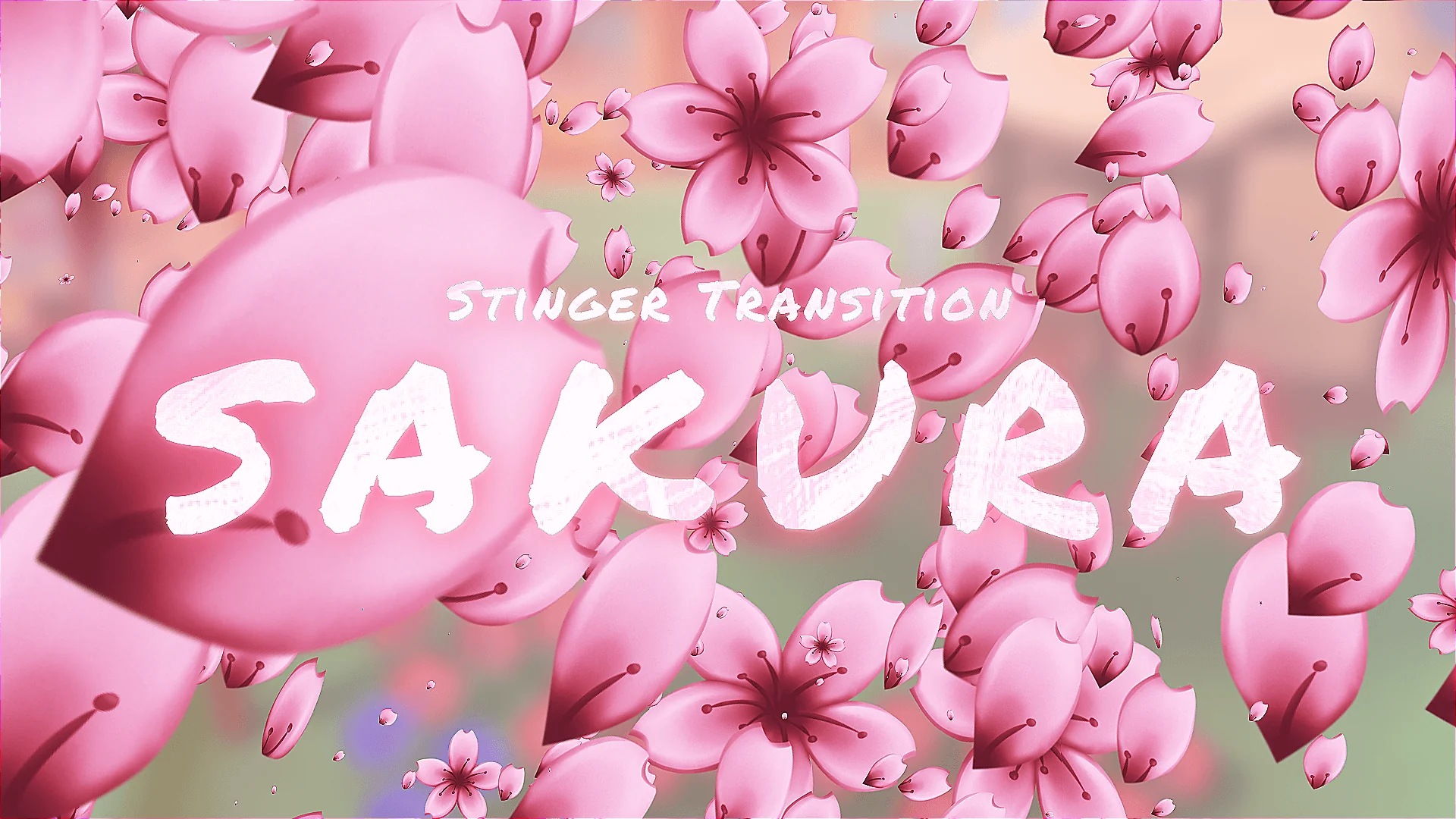 Sakura Flowers Transition