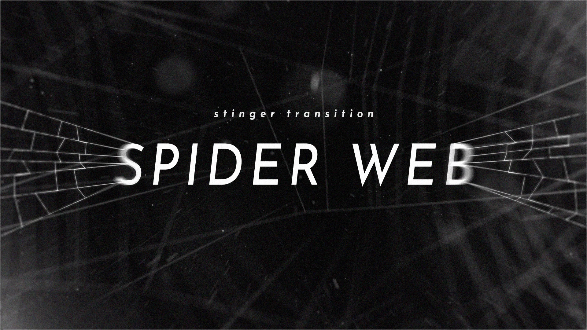 Spider Web Transition